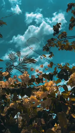 slowmotion