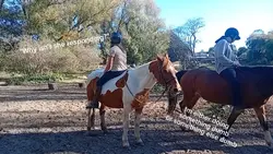 J and Horses