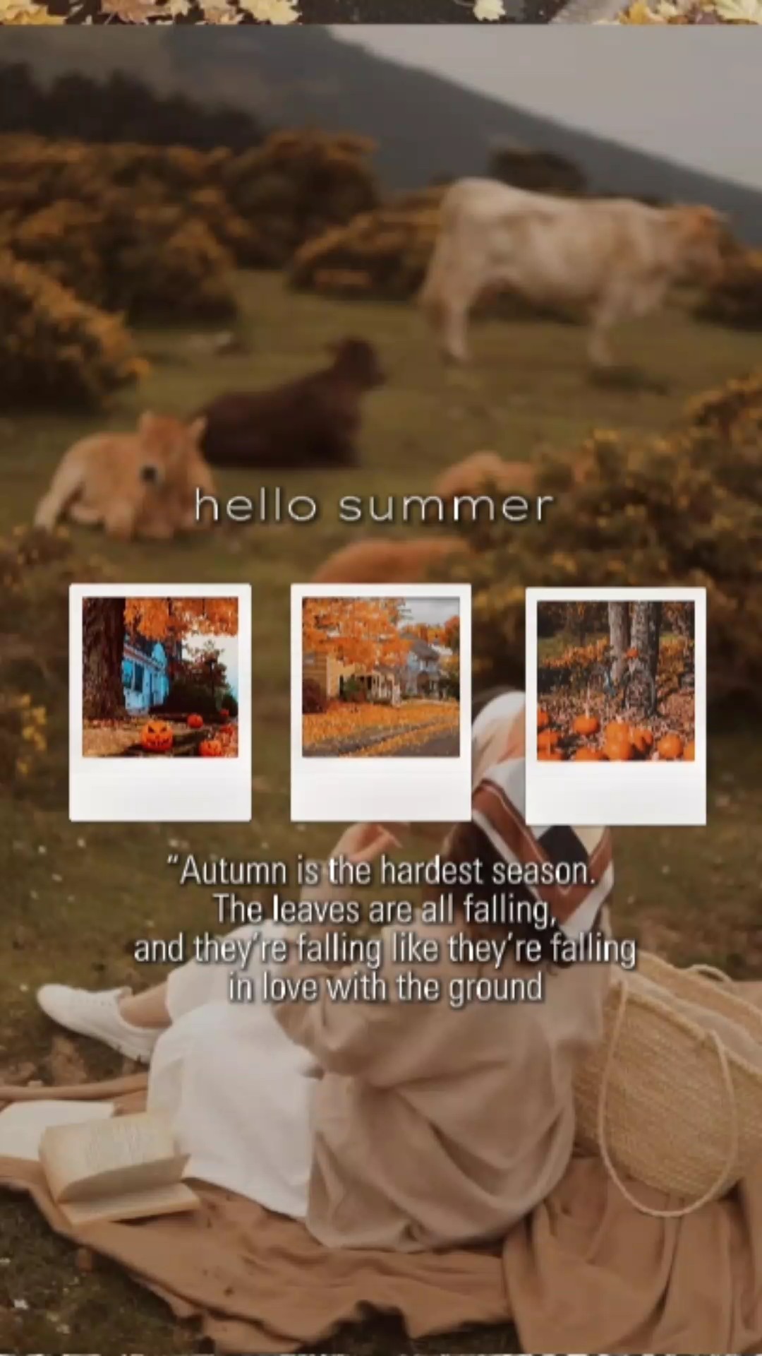 ²⁶ hello autumn 