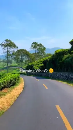 morning vibe