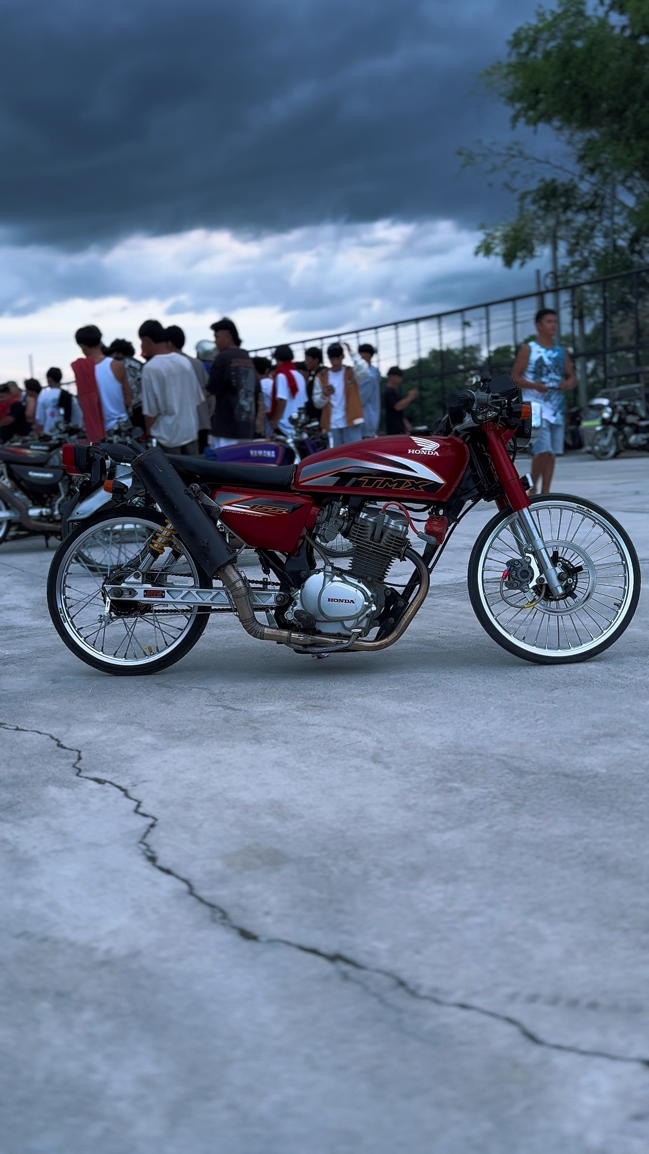 Cover Picture