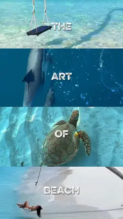 the art of beach
