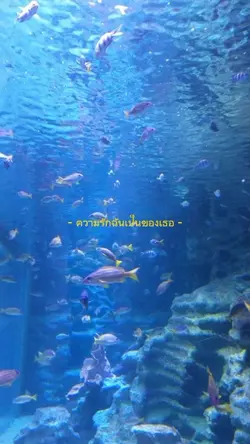 10 รูป/วิดีโอ