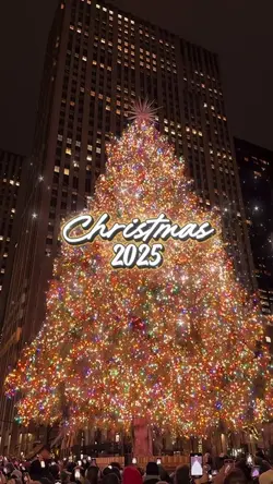 CHRISTMAS 2025 🎄 