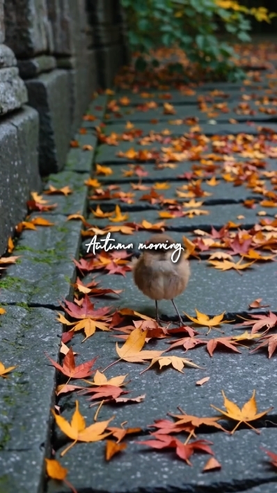 Herbstmorgen 