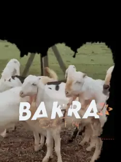 Bakra Eid Pe 