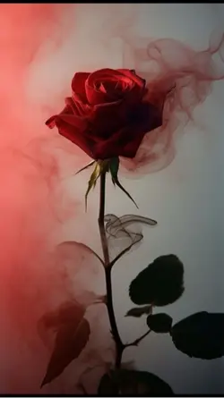 🥺