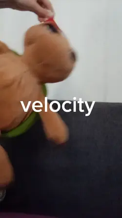Velocity edit