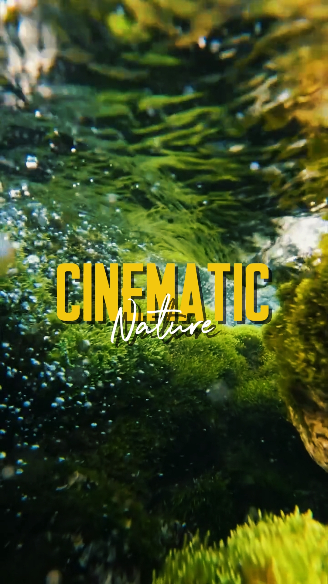CINEMATIC