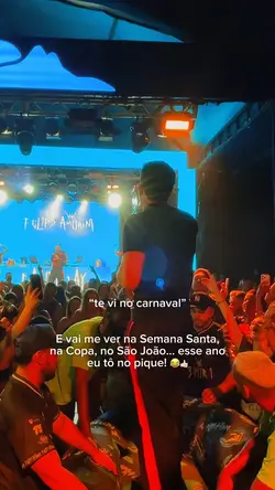 “te vi no carnaval”
