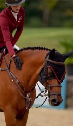 I set 🔥 to the 💧