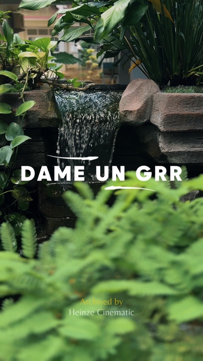 Sinematc Dame Un Grr