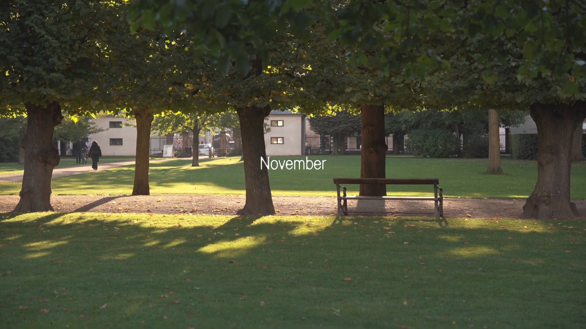 irecalllatenovember