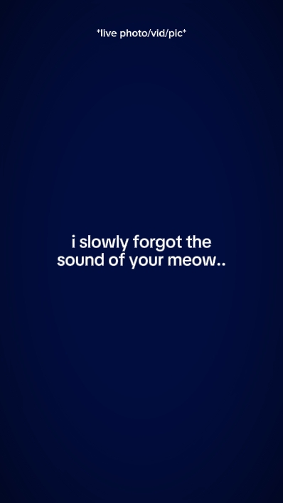 i slowly forgot 