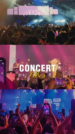 CONCERT VIBES