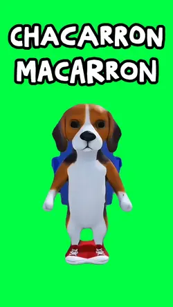 CHACARRON MACARRON