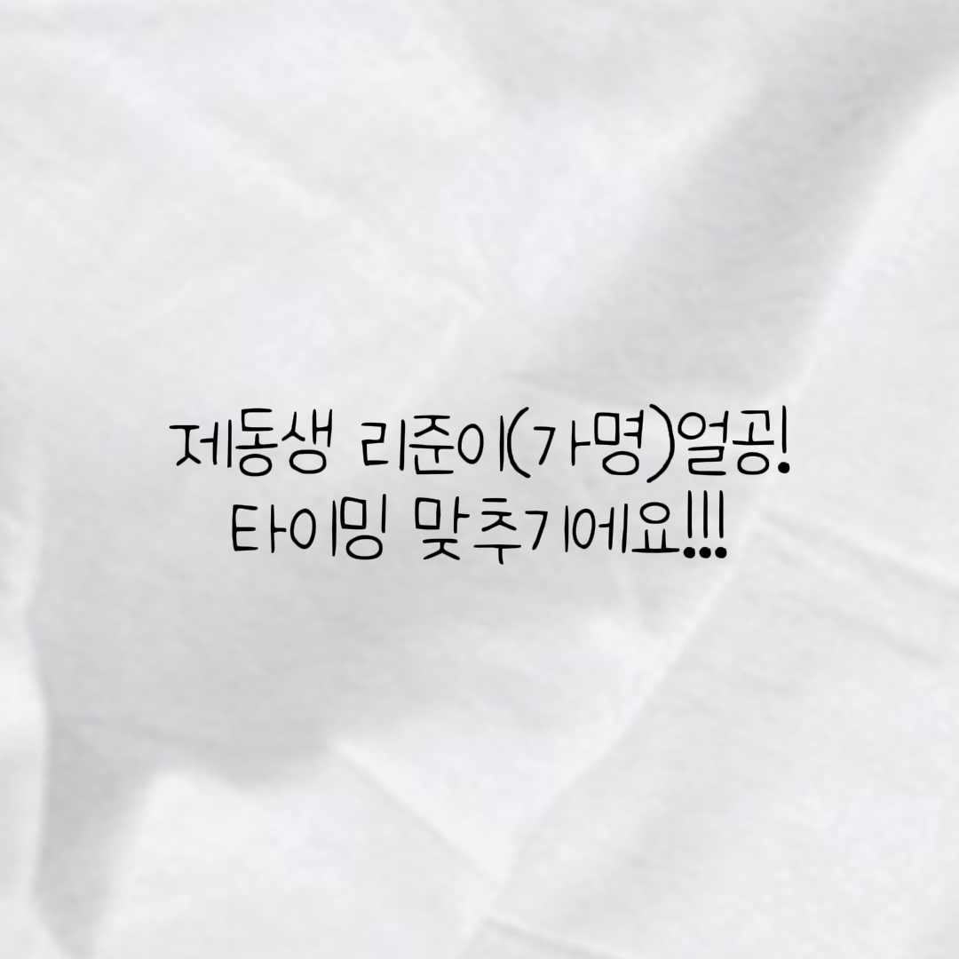 동생이부탁한거
