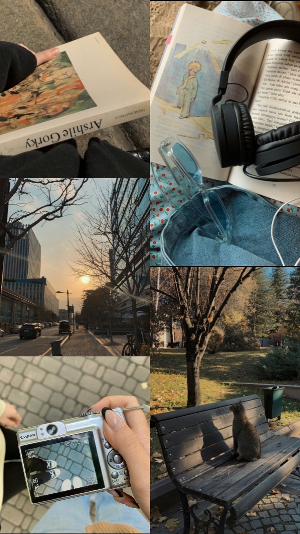 Cover Picture