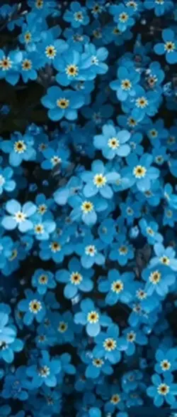 3DBlue Flower
