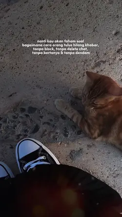 orang tulus