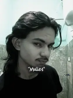 Mullet 