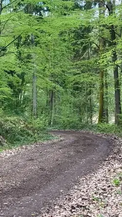 Ausreiten