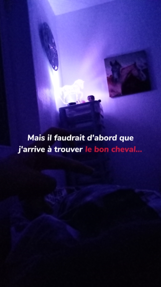 Le bon cheval...