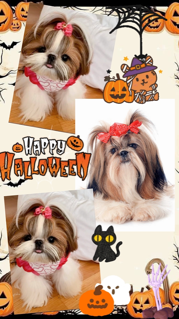 happy halloween 