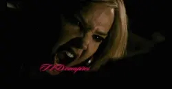 Tvd, twilight ๐