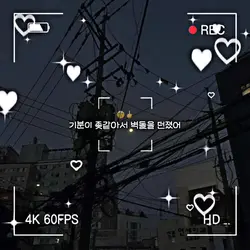 ㅅㅂ 좋아요 300개 나온 영상을..