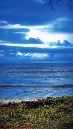 violin | endless lov