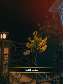 TREND ARABIC 2 FOTO
