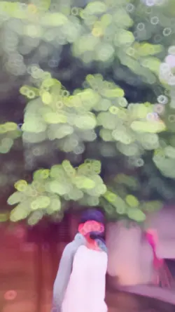 5 video Ishq di baji