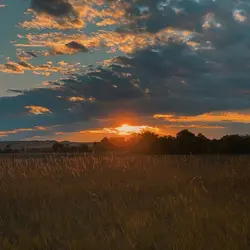 sunset 
