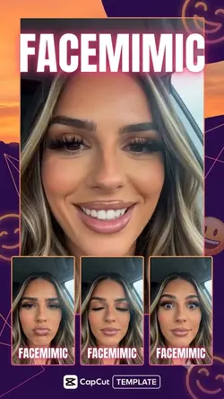 facemimic