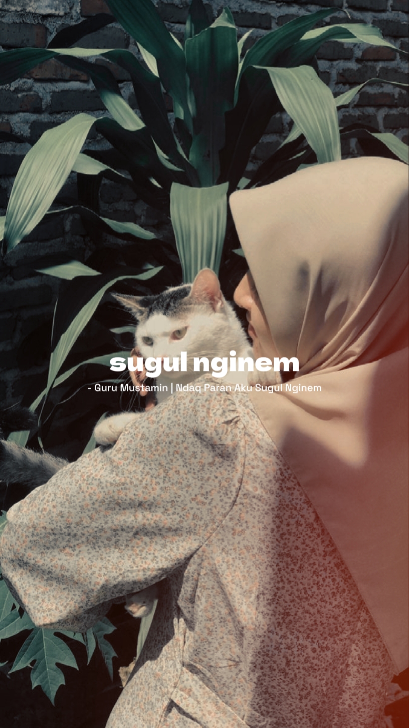 sasak ndak paran aku