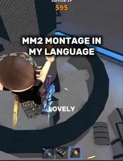 PL MONTAGE