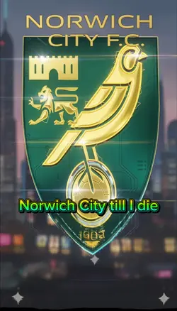  Norwich Cit