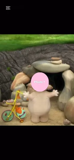 わかぱか