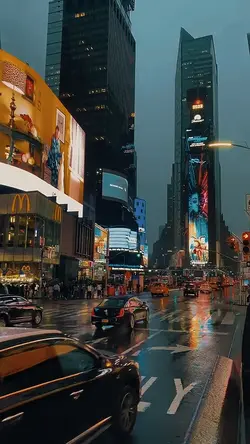 citylife transitions