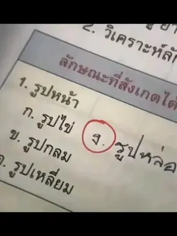 สุดหล่อมาแล้ว55