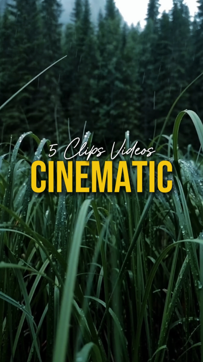 CINEMATIC 5 VIDEOS