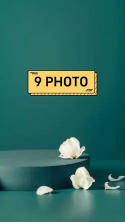 camera shutter