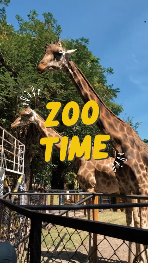 Tiempo de zoológico