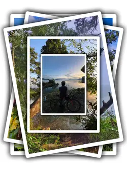 5Pic Trans Aesthetic