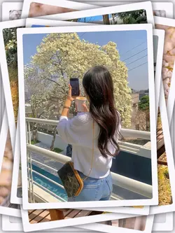 10Pic Clip Aesthetic