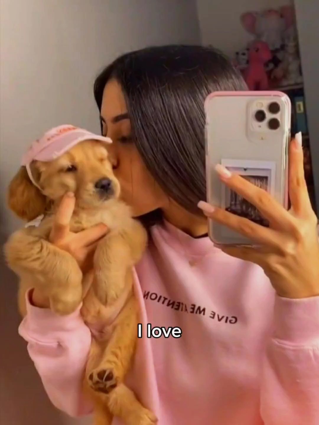 Mi perro