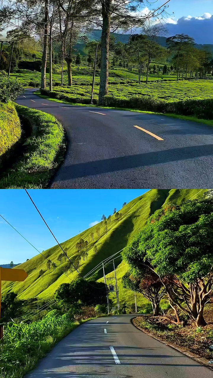 2 video collage