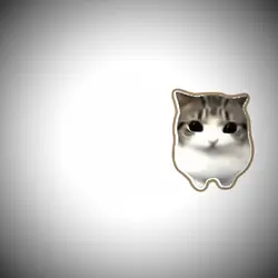 dam dam di di cat