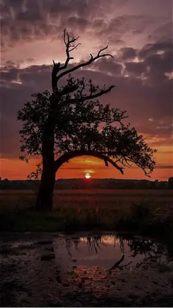 Pour mieux comprendr